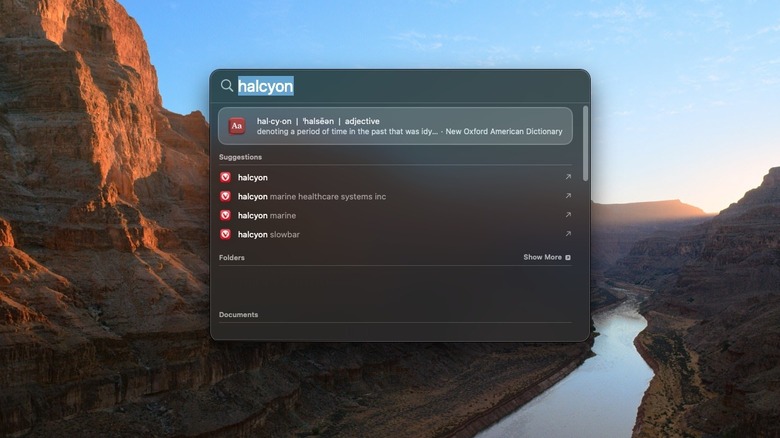 Dictionary definition in spotlight