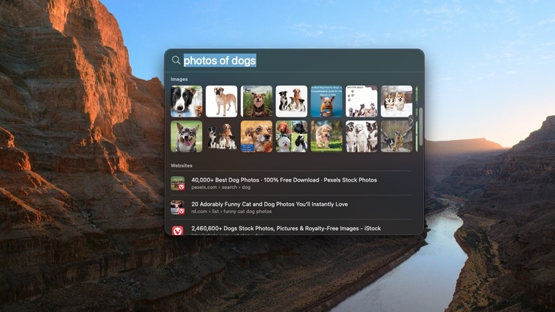 Searching for photos in Spotlight
