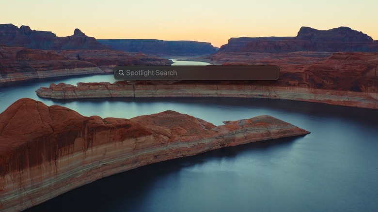 Spotlight search bar macOS desktop