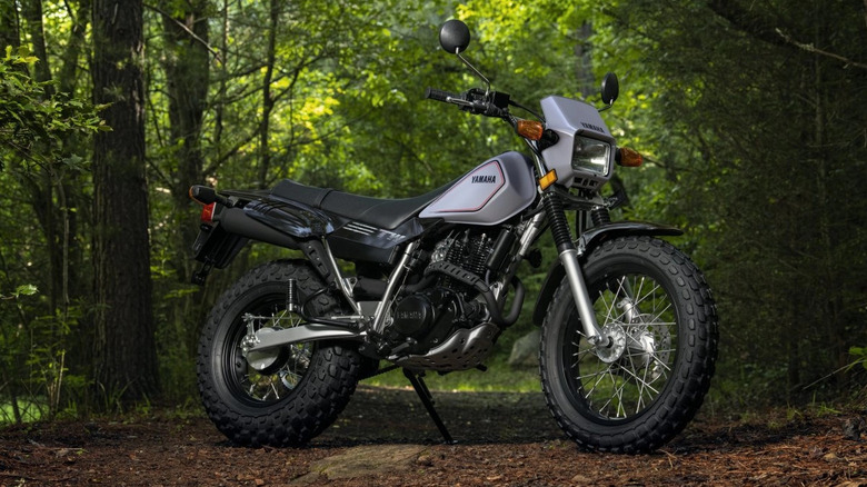 Yamaha TW200 dual-sport motorcycle with fat tires parked on a forest trail, surrounded by lush green trees and natural terrain.