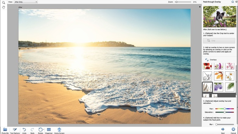 Adobe Photoshop Elements dashboard