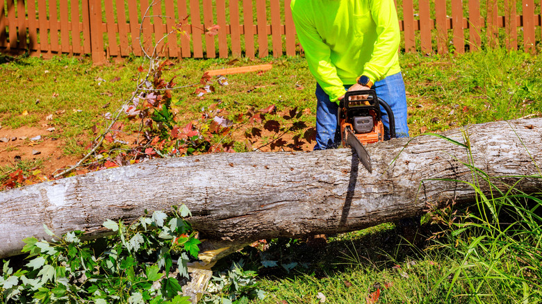 A person making a cut into a fallen tree