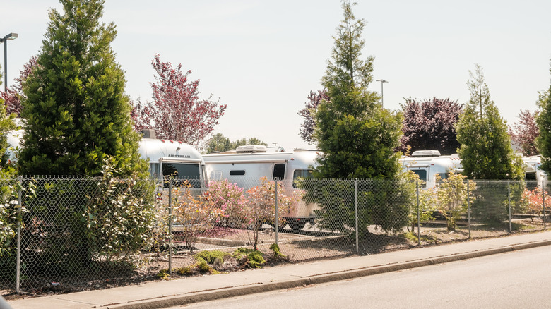 Airstream trailers "hiding" behind trees in an RV park