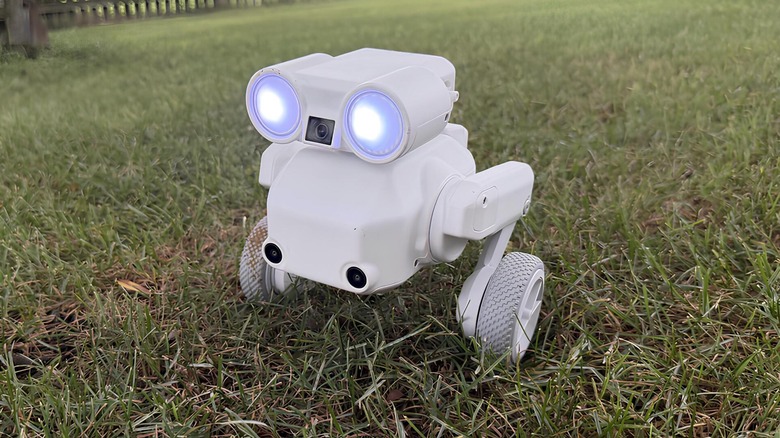 A White little robot with glowing eyes and wheels