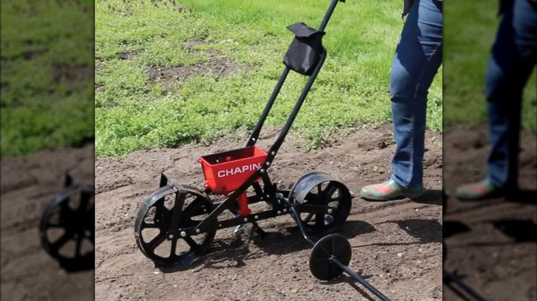 A worker spreading seeds with Chapin seed spreader