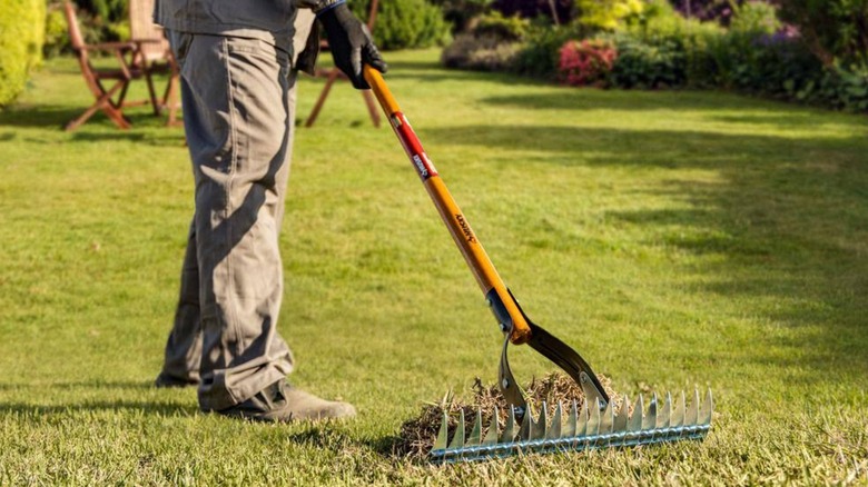 Worker raking thatch with Husky rake