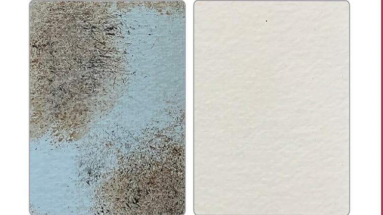 Two pieces of wall next to each other, one with mold and one without.