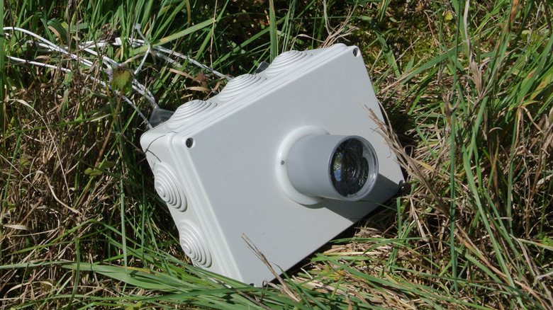 Raspberry Pi camera lying on grass