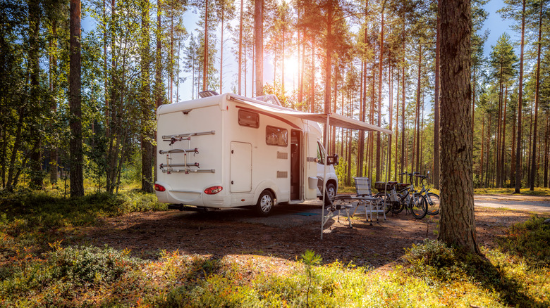 RV camper in the woods