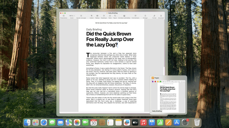 A preview example with DockDoor on macOS