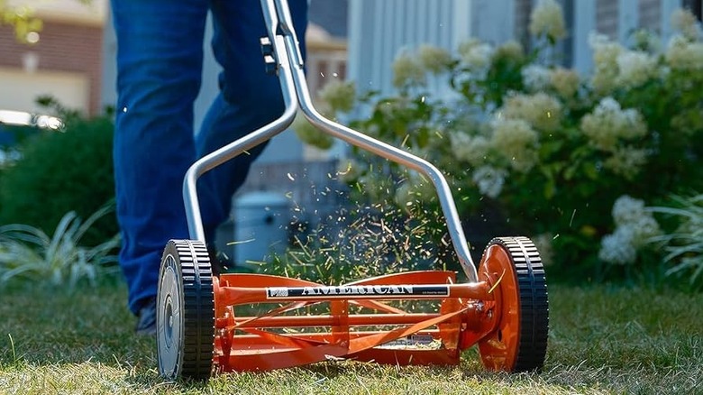 A yellow reel lawn mower cutting grass