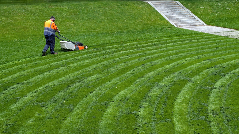 A person mowing a lawn in a circular pattern