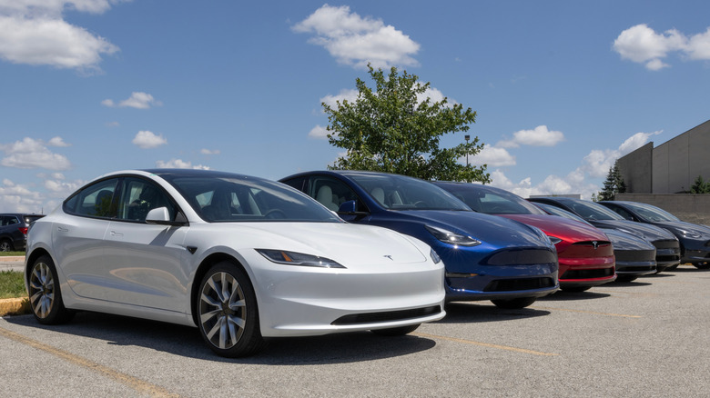 A range of Tesla Models standing outside in the sun in a line, inside a dealer lot on a paved surface.