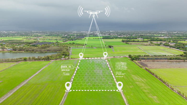 A picture of a green field overlayed with a drawing of a drone scanning the area.