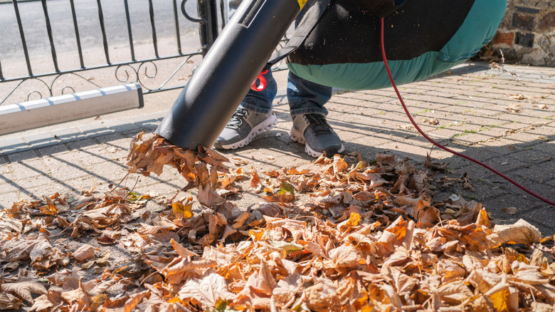 leaves being vacuumed up
