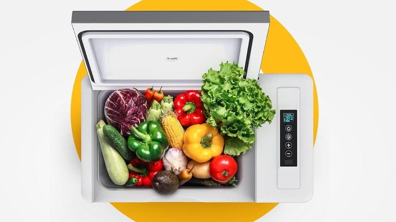 BougeRV cooler/refrigerator