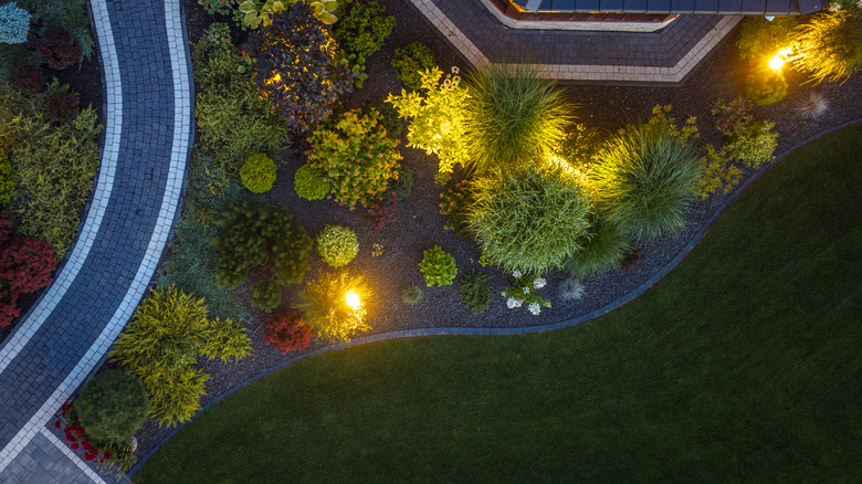an elegant landscaping job in evening light