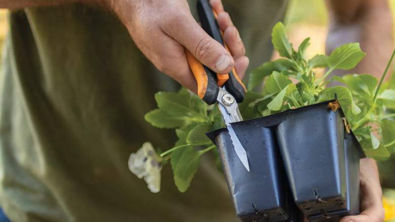 Person holding a plastic plant container using Fiskars multi-snip to cut the container
