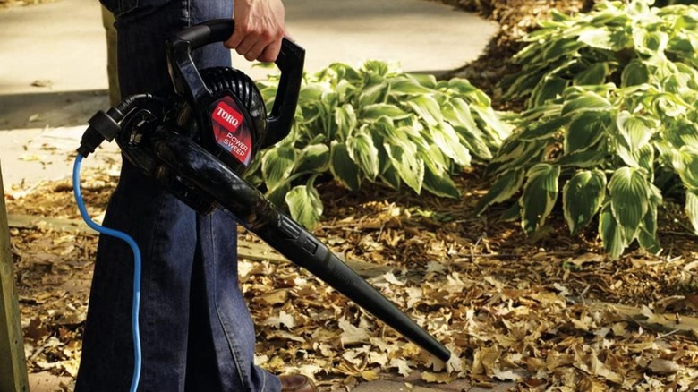 woman holding Toro Power Sweep Handheld Blower