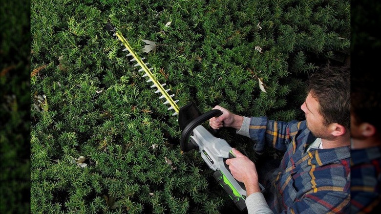 Ego POWER+ 24-Inch Hedge Trimmer