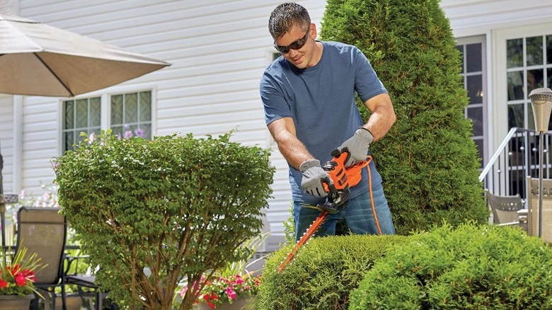 Man using a hedge trimmer to trim bushes.