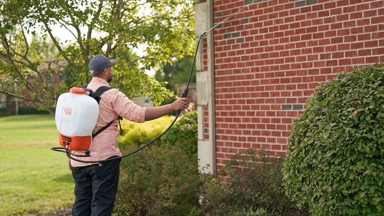 Man using a backpack sprayer to spray plants.