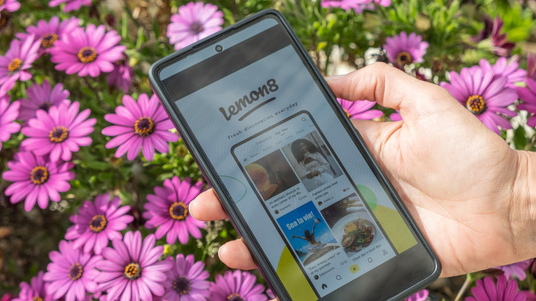 The Lemon8 app running on an Android phone with flowers in the background