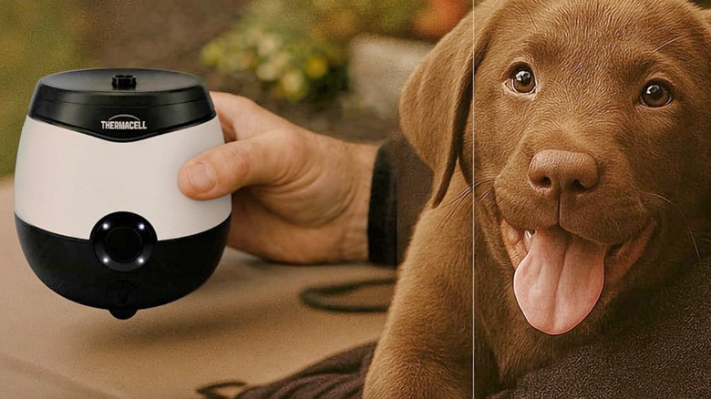 A dog next to the Thermacell E-ZoneGuard Glow.