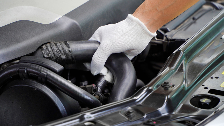 Mechanic examining a radiator hose