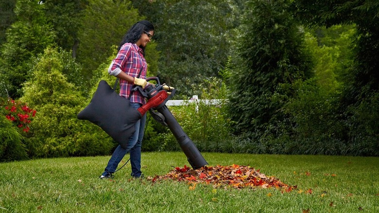 Person using corded leaf blower