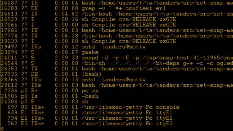 A UNIX process list with amber text over a black background