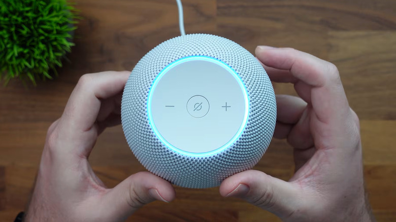A close up shot of the Amazon Echo Dot Max