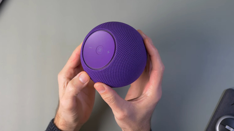 A shot of the Amazon Echo Dot Max