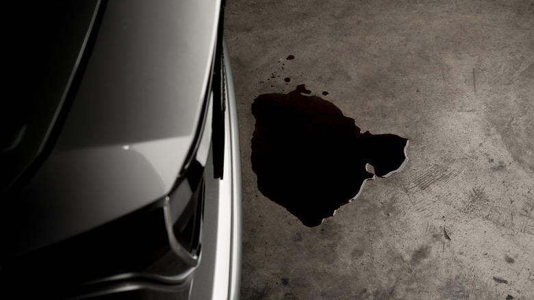 oil on garage floor near car