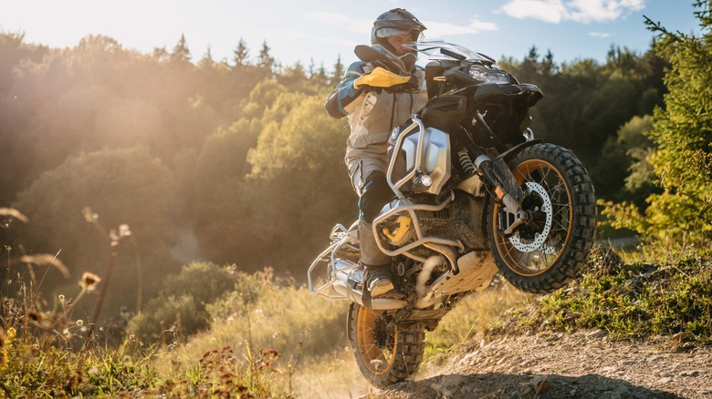 BMW R 1250 GS Adventure off-road