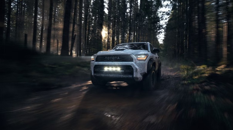 A 2025 Toyota 4Runner in a forest