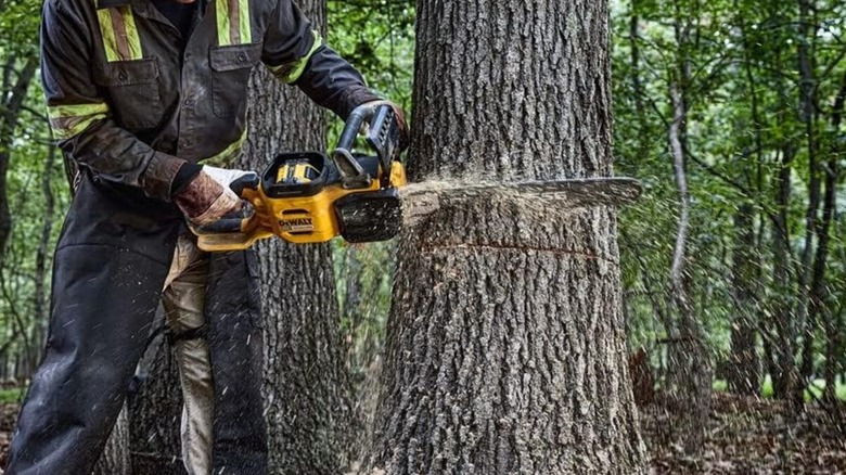 cutting down a tree with DeWalt chainsaw
