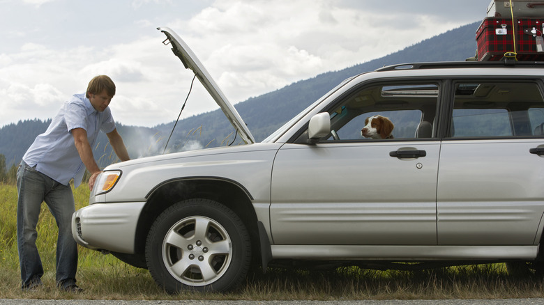 Man looking at car