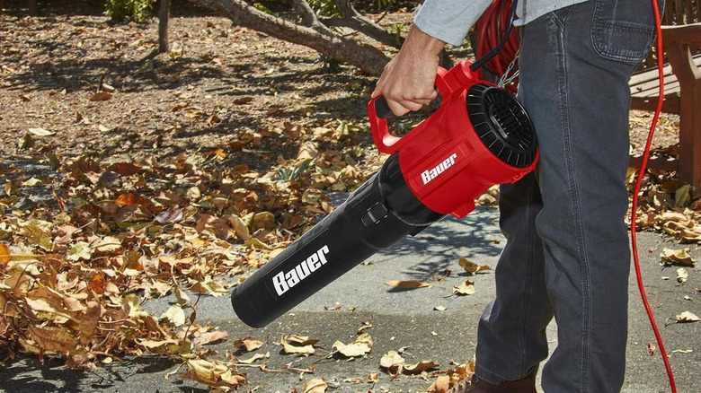 Blowing leaves with the Bauer corded jet blower.