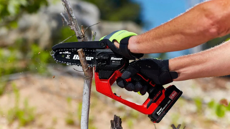 Home landscaper using a Bauer pruning saw.