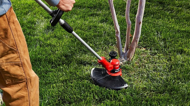Cutting grass with the Bauer string trimmer.