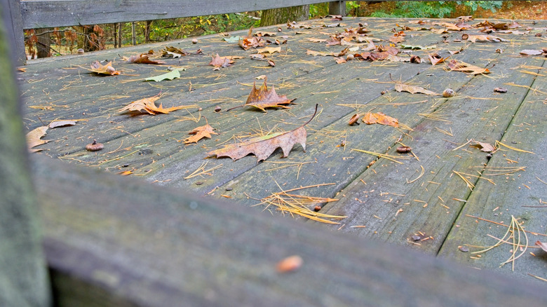 Wooden deck covered in leaves and pine needles