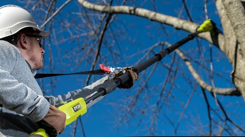 Person using Ryobi cordless pole saw