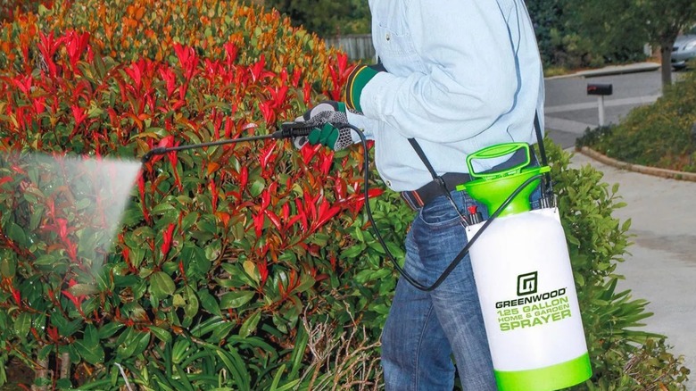 Greenwood 1-1/4 Gallon Home and Garden Sprayer
