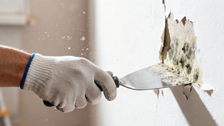using a putty knife to scrape defective wall segment