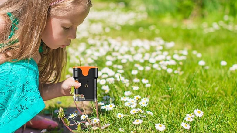 A little girl inspecting daisies with the Bebang 1000X Handheld Microscope.
