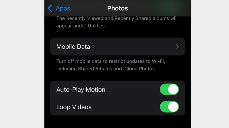 Loop Video toggle