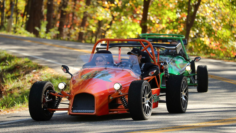 Two DF Goblins on the road
