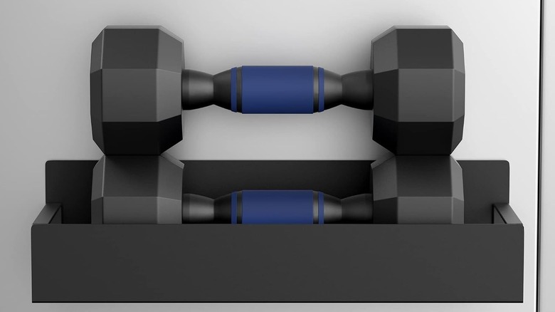 Magnetic Shelf holding up a pair of weights.