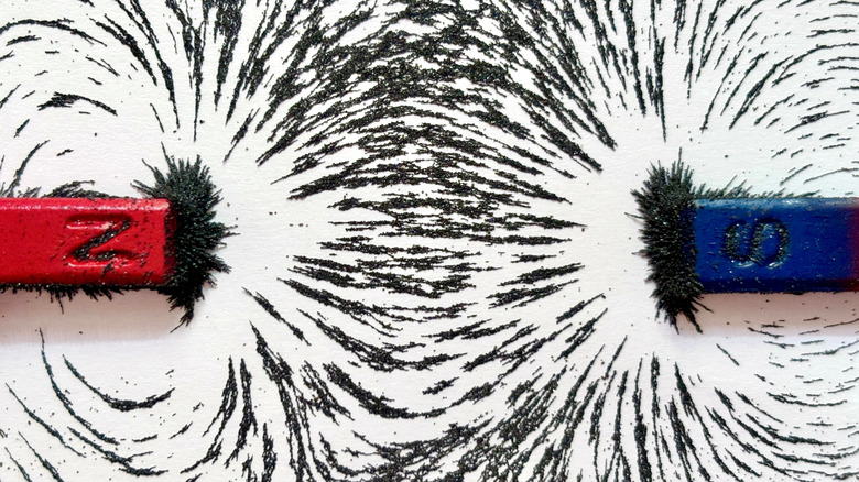 Magnets and iron shavings